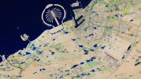 Captura de pantalla 2024-04-21 160122.png