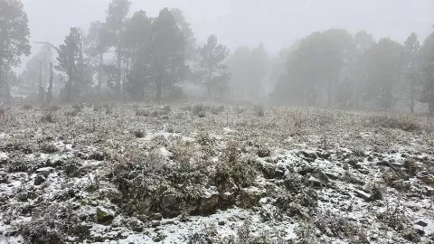  Frente Frío 27 congela al país.