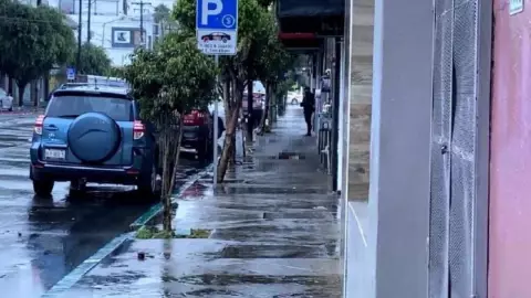 Matan a mujer y a un perro en zona centro Tijuana.jpg