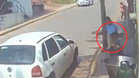 Perro muere en aceite