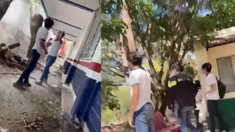 Riña estudiantes Plantel 13 Cobach 