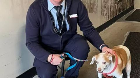 perrita es abandonada