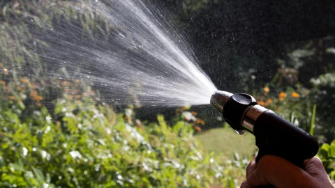 ¿Cuál es la hora ideal para regar el pasto?