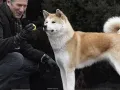 Famosos con un Hachiko en su vida (15).jpg