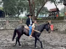 dia mundial de animales de la granja.jpg