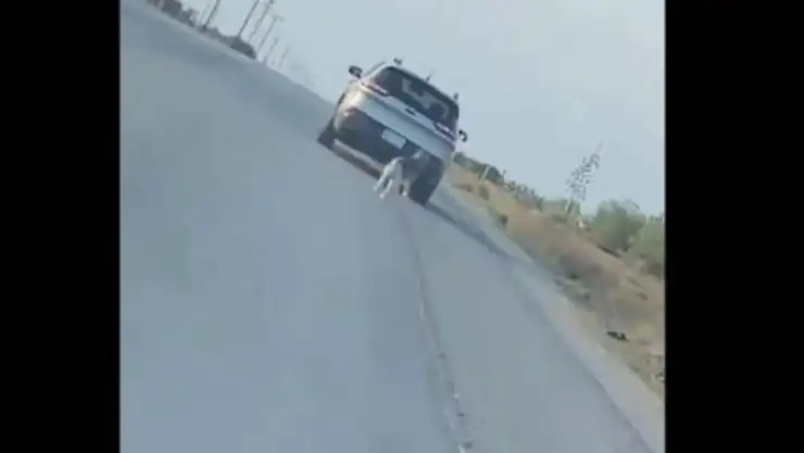Video desgarrador Dueño abandon a perrito husky en carretera