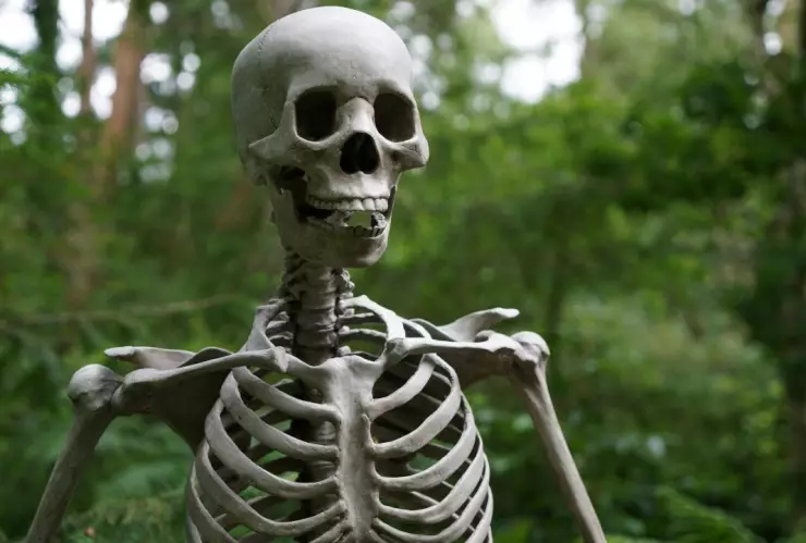 esqueleto-hombre-casa