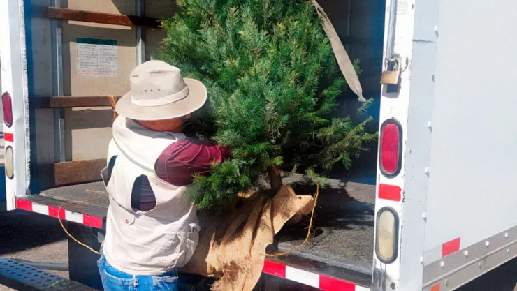 La Profepa evita plagas en México