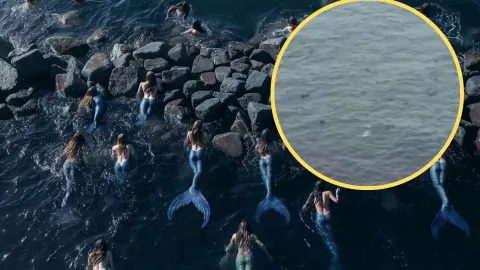 Sirenas en rompeolas