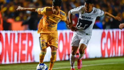 Tigres Pumas