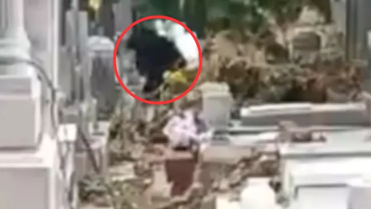 bruja en panteón de Veracruz