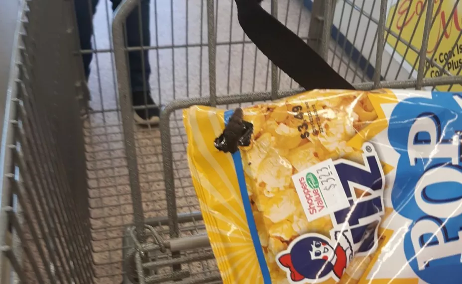 Mujer descubre serpiente en bolsa de palomitas en el supermercado de Virginia.
