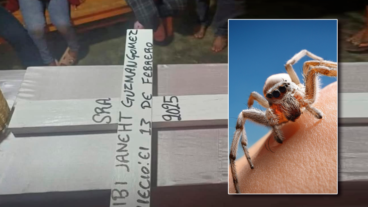 Muere por araña Chenalhó