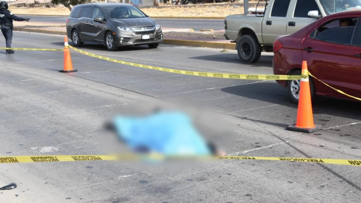 ATROPELLADO CHIHUAHUA.jpg