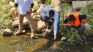 olor a químico en Mundo Nuevo, Coatzacoalcos, Veracruz