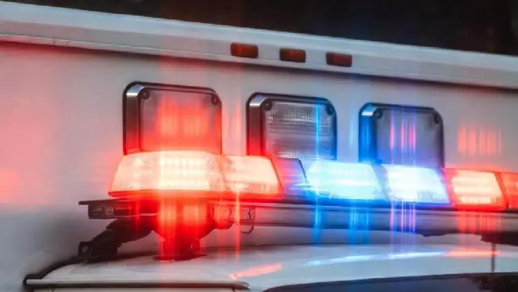 ¡Alarmante! Reportan ATAQUE de abejas en Yucatán; hombre termina lesionado