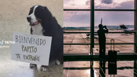 Perro espera a su dueño