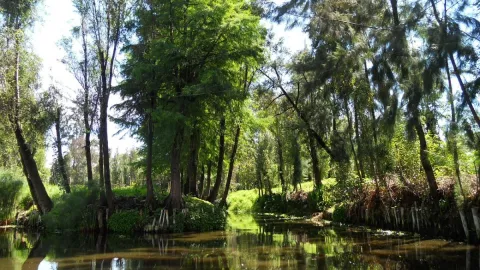 /viajes/pueblo-magico-teul-de-gonzalez-ortega-zacatecas-trajineras-mezcal