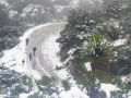Nevadas en Zacatecas