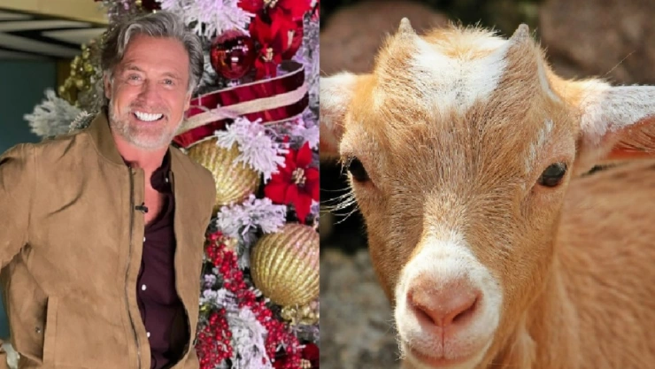 por qué juan soler es tendencia juan soler sexo cabra