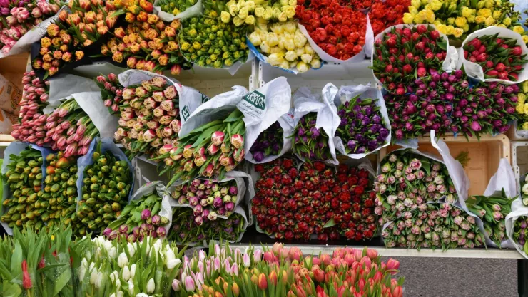 ¿Qué flores regalarle a mamá en el Día de las Madres?