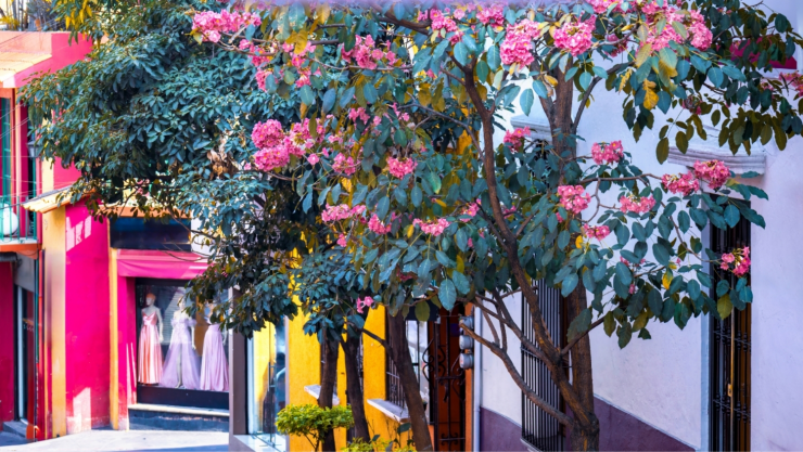 Qué hacer esta Semana Santa en Morelos.jpg