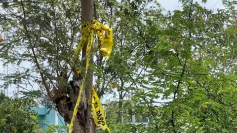 hallan persona lesionada sur de merida