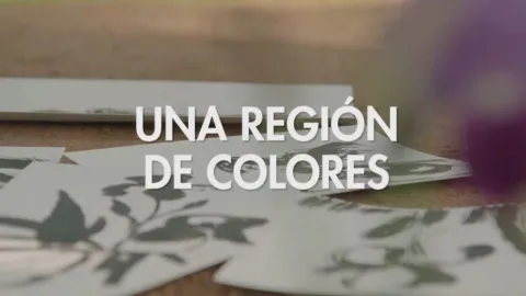 UNA REGION DE COLORES MUNDO SORPRENDENTE