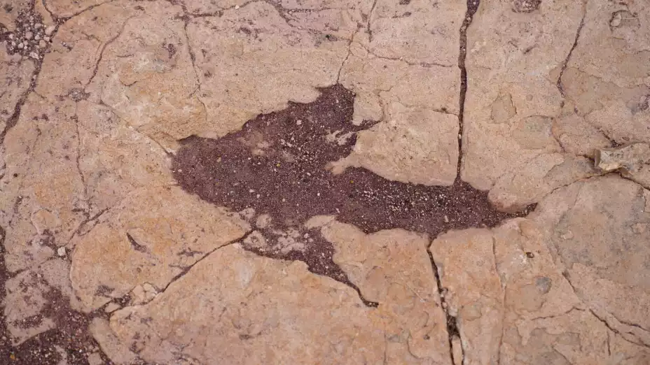 BOLIVIA-HUELLAS DE DINOSAURIOS