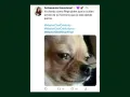 memes masterchef celebrity final (22).jpg
