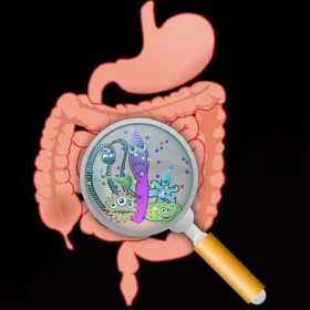 /estilo-de-vida/como-saber-si-tengo-parasitos-intestinales