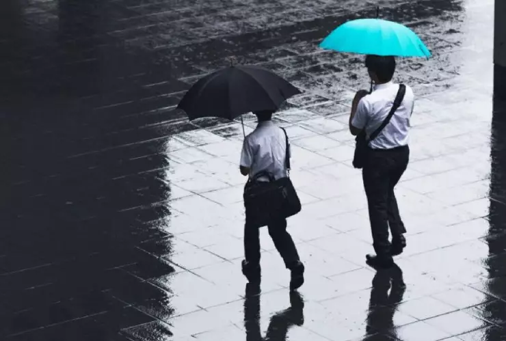 Precio del dólar hoy en Yucatán jueves 18 de julio de 2024