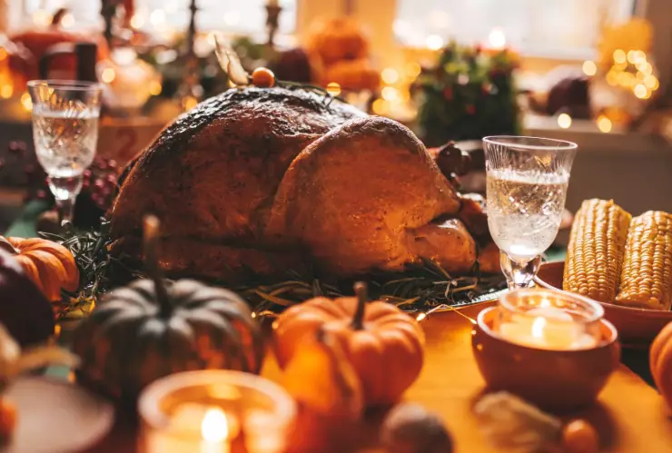 Día de Acción de Gracias