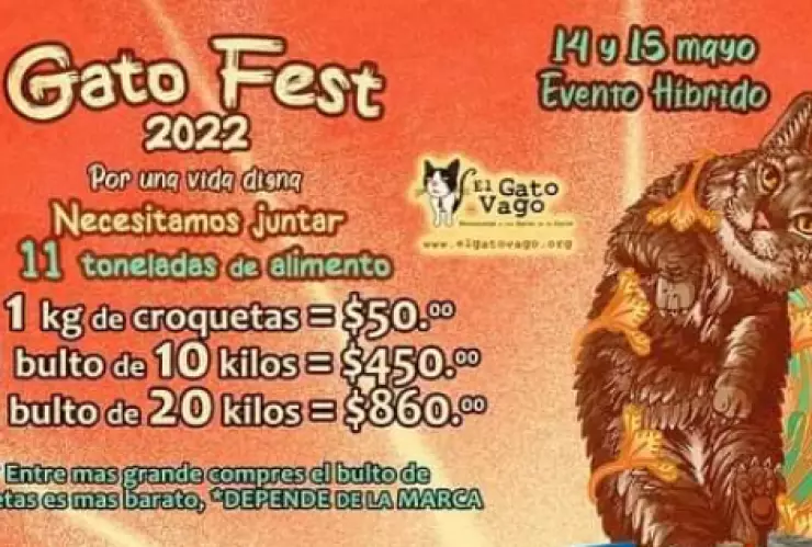 GatoFest 2022.PN