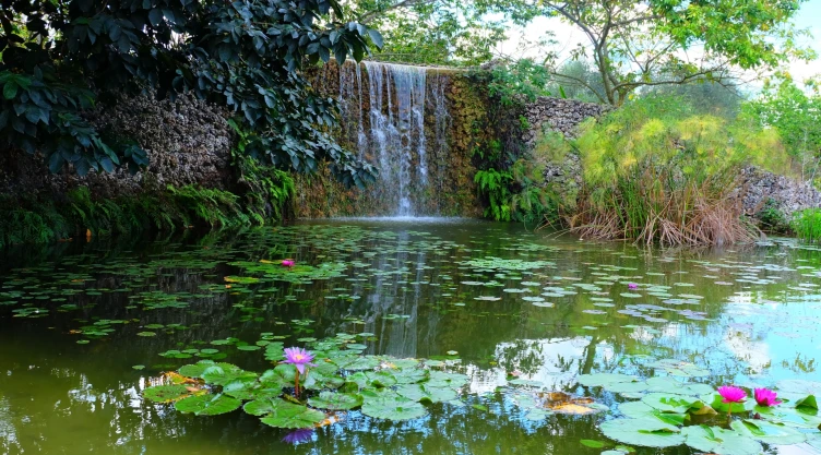 una vista de este hermoso jardín botánico