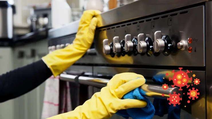 Advierten infección por trapos de cocina; esta es la enfermedad que transmiten