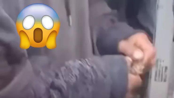 Homeless es captado comiendo un roedor en San Cristóbal de las Casas