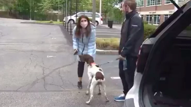 reportera y ladrón de perros.jpg