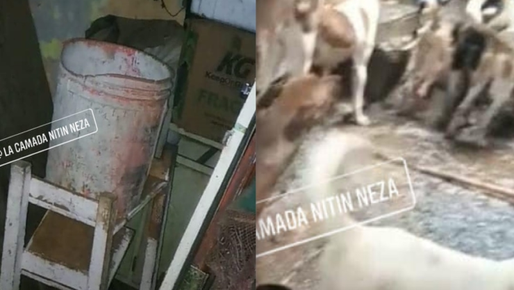 carne de perro Neza EdoMex