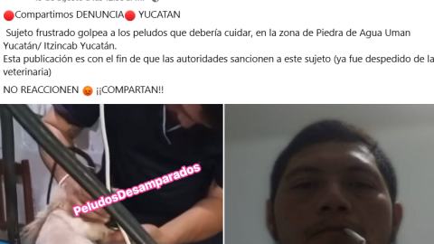 Maltrato animal en Umán, Yucatán