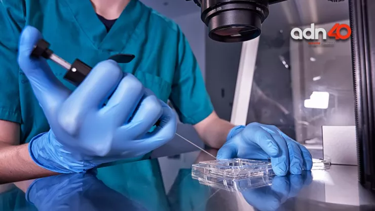 Embriones de 30 años en EUA