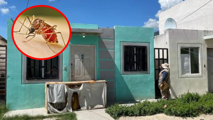 Niña muere por picadura de garrapata y dengue en Escobedo, Nuevo León