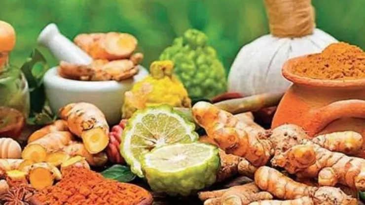 Medicina ancestral Ayurveda que equilibra cuerpo y mente