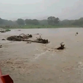 lluvias-en-veracruz-mantienen-alerta-gris-y-preparan-refugios-nuevas-afectaciones