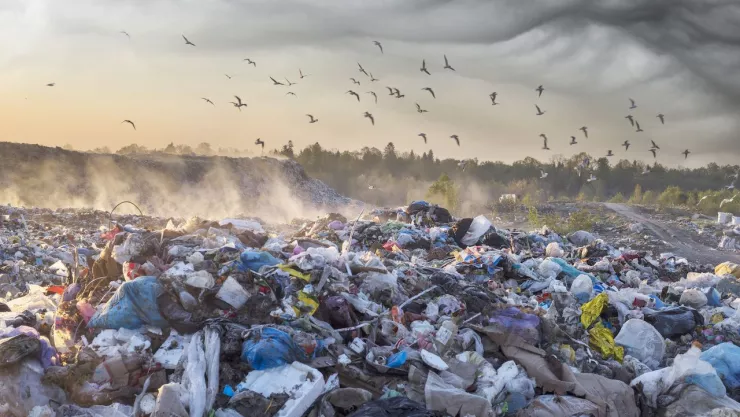 ¡Cuidado! La contaminación ambiental puede ocasionar daños en tu salud.