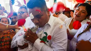 Alcalde de Oaxaca se casa con caimán en San Pedro Huamelula