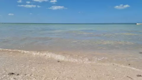PORTADA playa Telchac Puerto Yucatán.jpg