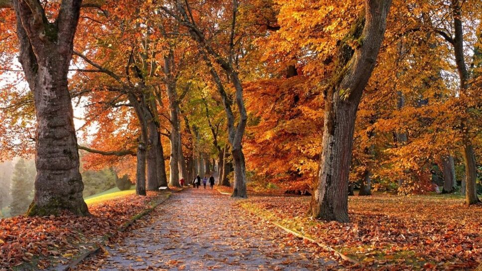 Equinoccio de otoño, cuándo, México c.jpg