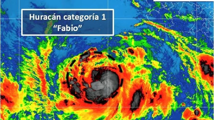 FABIO 1