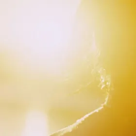 ¿Cómo afecta el calor al cerebro? Estos son sus efectos en la salud mental